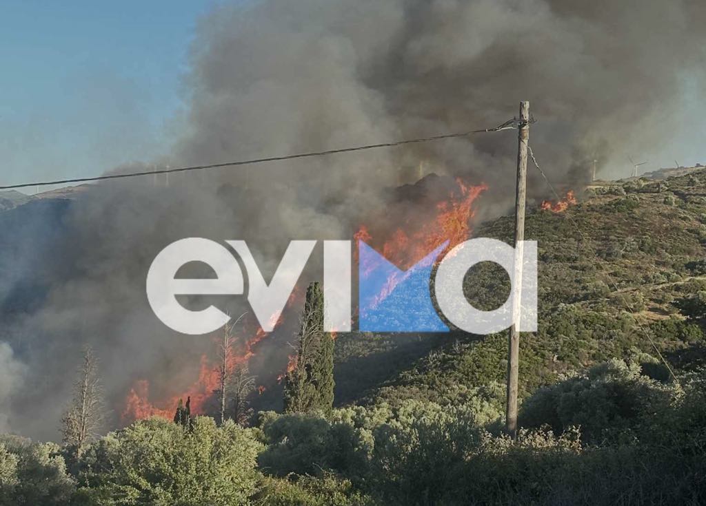 Μεγάλη φωτιά στην Εύβοια: Νέες εικόνες και συγκλονιστικό βίντεο Μεγάλη φωτιά στην Εύβοια: Νέες εικόνες και συγκλονιστικό βίντεο