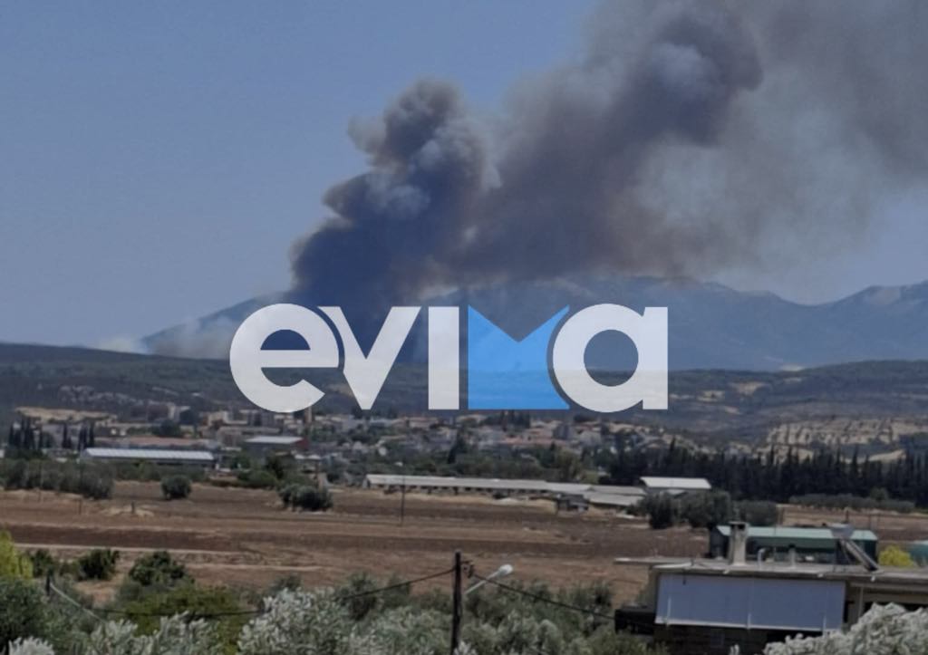 Δραματική έκκληση Σπανού για την φωτιά στην Εύβοια: «Χρειαζόμαστε εναέρια μέσα»
