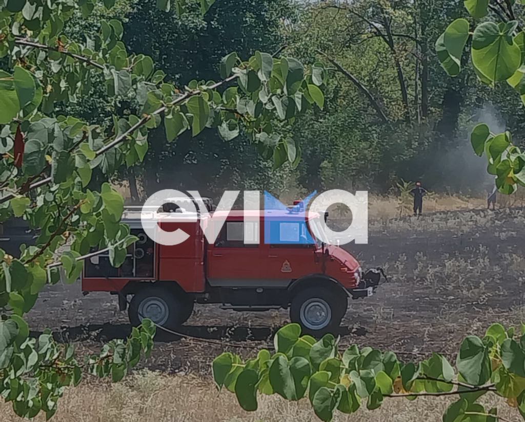 Φωτιά τώρα στην Εύβοια Φωτιά τώρα στην Εύβοια