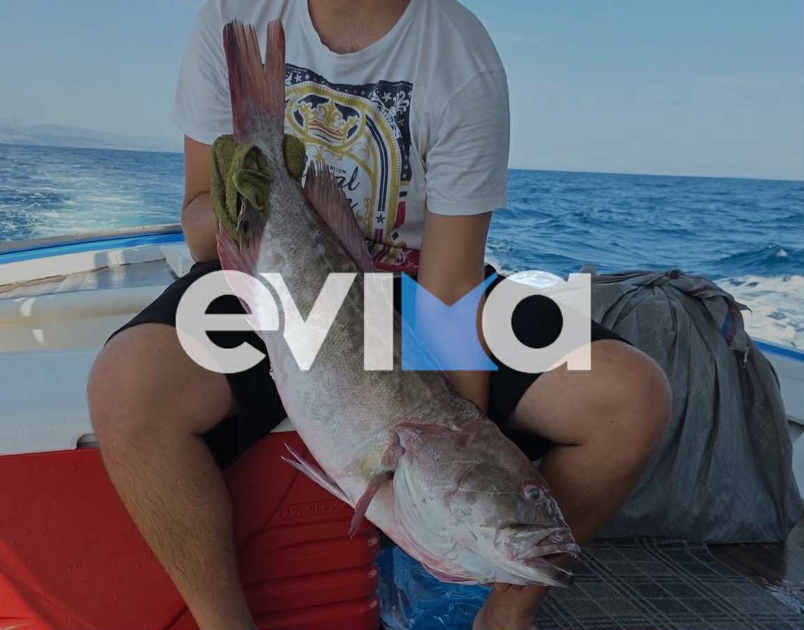 Απίθανη ψάρια 22 κιλών στην Εύβοια Απίθανη ψάρια 22 κιλών στην Εύβοια
