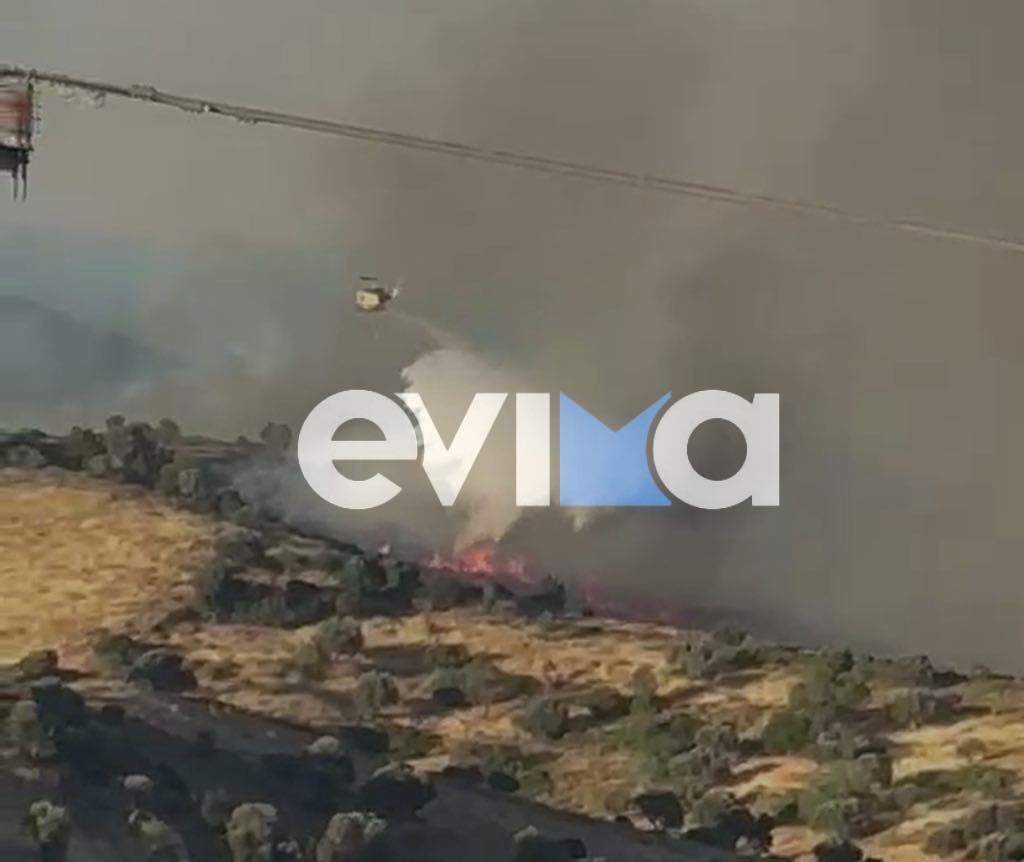 Μεγάλη φωτιά στην Εύβοια: Στη «μάχη» και τα εναέρια για να μην καούν σπίτια – Νέα βίντεο Μεγάλη φωτιά στην Εύβοια: Στη «μάχη» και τα εναέρια για να μην καούν σπίτια – Νέα βίντεο