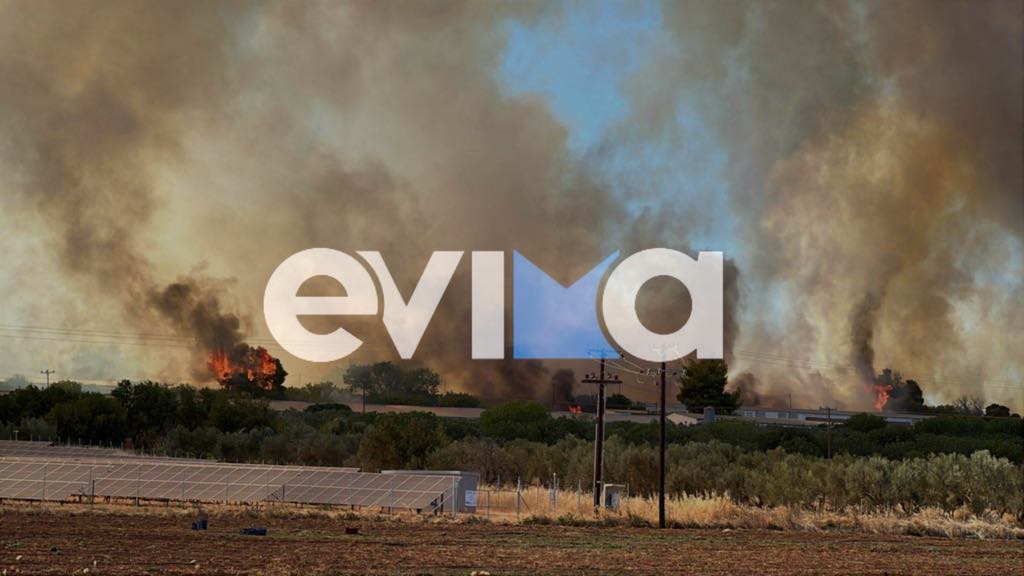 Πύρινη κόλαση στην Εύβοια: Η φωτιά καίει μεγάλη χοιροτροφική μονάδα (εικόνα&βίντεο)