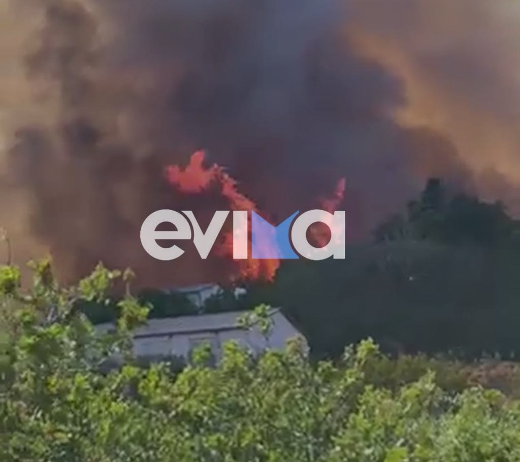 Ανεξέλεγκτη η φωτιά στην Εύβοια: Απειλεί δίκτυο της ΔΕΗ – Καίει ό,τι βρει μπροστά της – Νέα βίντεο