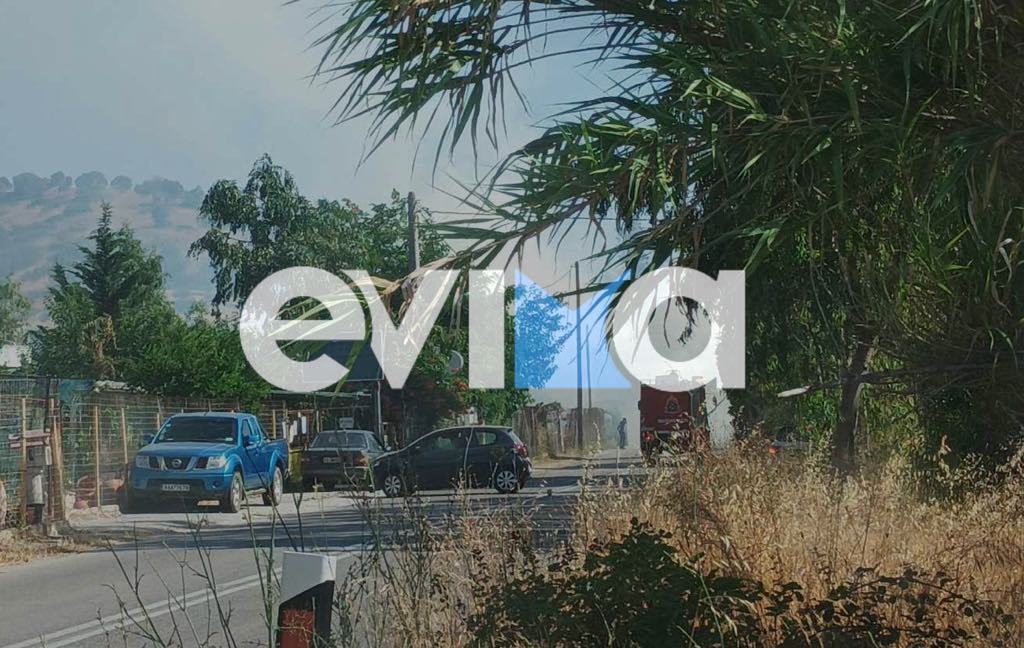 Φωτιά τώρα στην Εύβοια Φωτιά τώρα στην Εύβοια