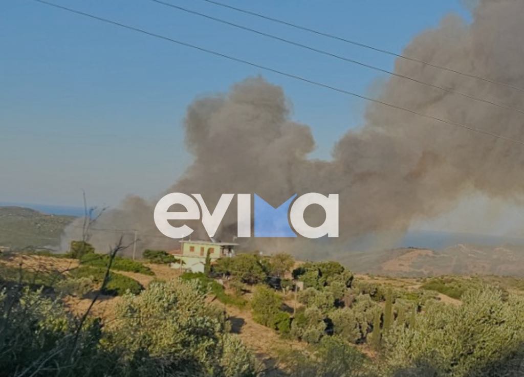 Μεγάλη φωτιά στην Εύβοια: Οι φλόγες φτάνουν στα πρώτα σπίτια – Νέες εικόνες Μεγάλη φωτιά στην Εύβοια: Οι φλόγες φτάνουν στα πρώτα σπίτια – Νέες εικόνες