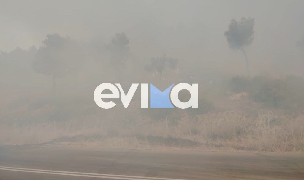 Καταστροφική η φωτιά στην Εύβοια: Έκαψε κολώνες της Δ.Ε.Η. – Χωρίς ρεύμα πέντε χωριά Καταστροφική η φωτιά στην Εύβοια: Έκαψε κολώνες της Δ.Ε.Η. – Χωρίς ρεύμα πέντε χωριά