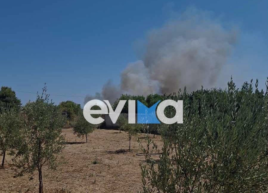 Πού έχει φωτιά τώρα στην Εύβοια – Δείτε live Πού έχει φωτιά τώρα στην Εύβοια – Δείτε live