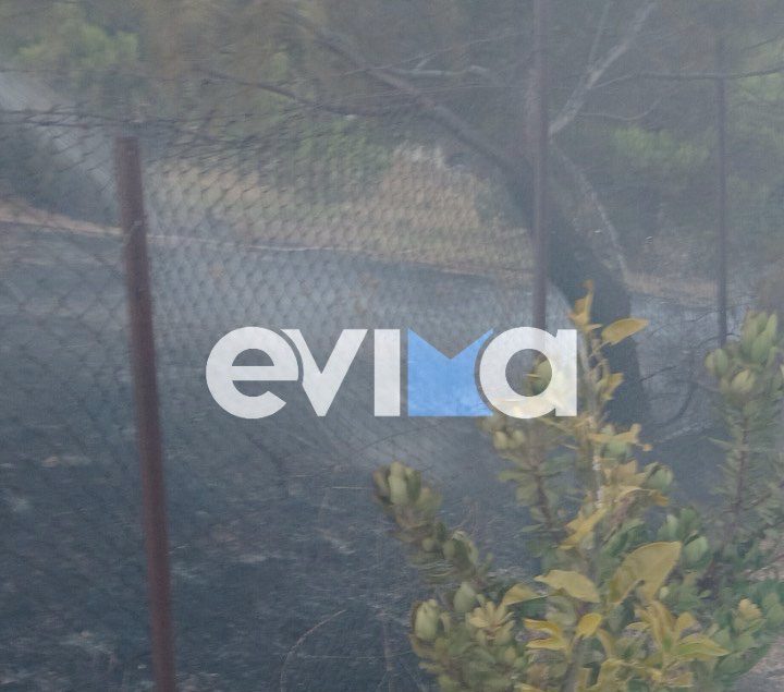 Φωτιά τώρα στην Εύβοια Φωτιά τώρα στην Εύβοια