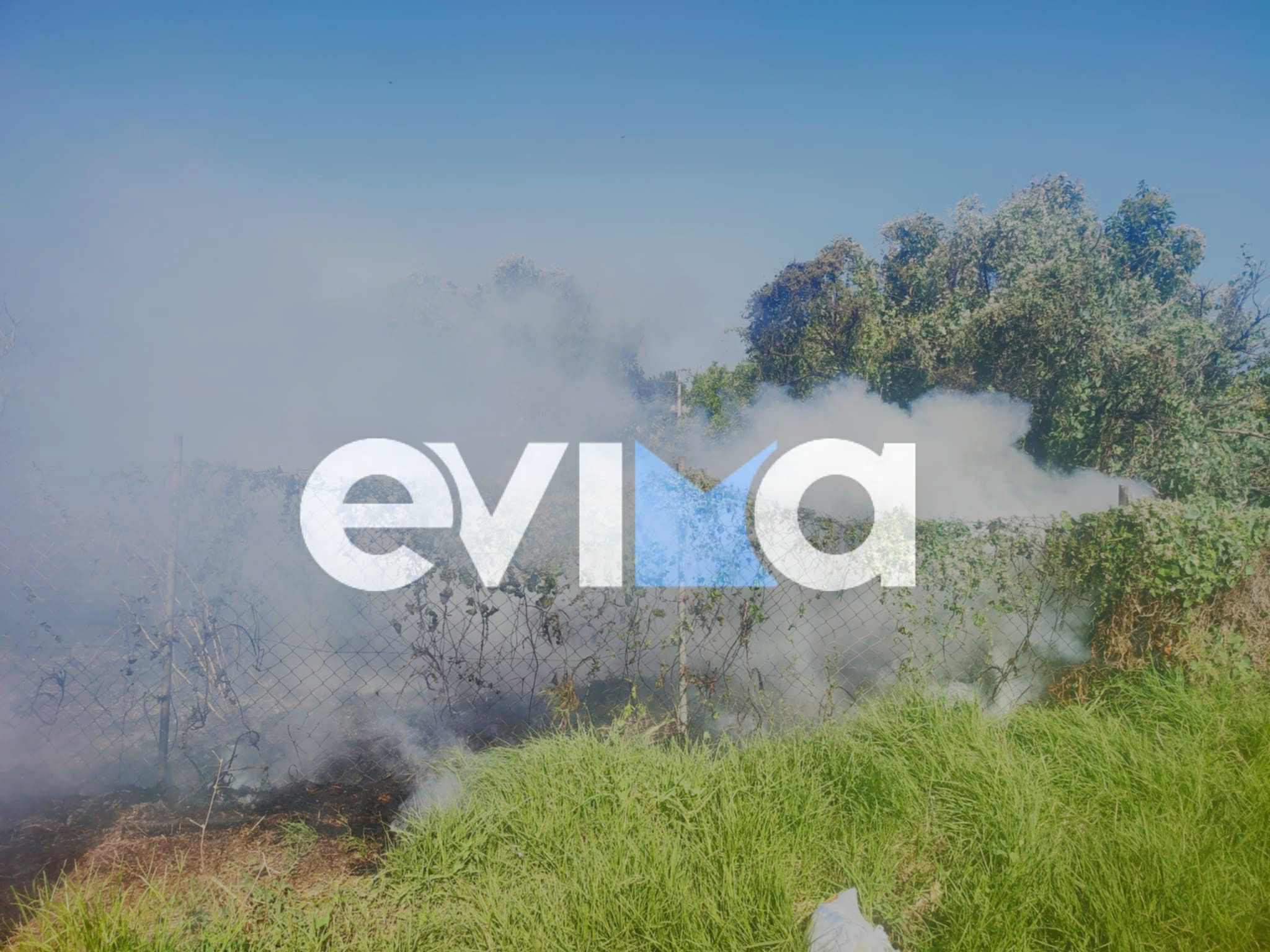 Φωτιά τώρα στη Χαραυγή Ευβοίας κοντά σε σπίτια – Οι πρώτες εικόνες Φωτιά τώρα στη Χαραυγή Ευβοίας κοντά σε σπίτια – Οι πρώτες εικόνες