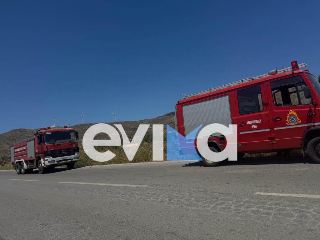 Νέα εικόνα από το σοκαριστικό τροχαίο στην Εύβοια: Πώς βρέθηκε στο χωράφι το ΙΧ