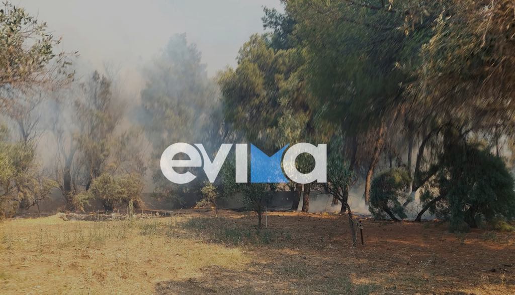 Ετσι σώθηκαν από την μεγάλη φωτιά τα σπίτια στο Αλιβέρι – Μαρτυρία κατοίκου στο evima Ετσι σώθηκαν από την μεγάλη φωτιά τα σπίτια στο Αλιβέρι – Μαρτυρία κατοίκου στο evima