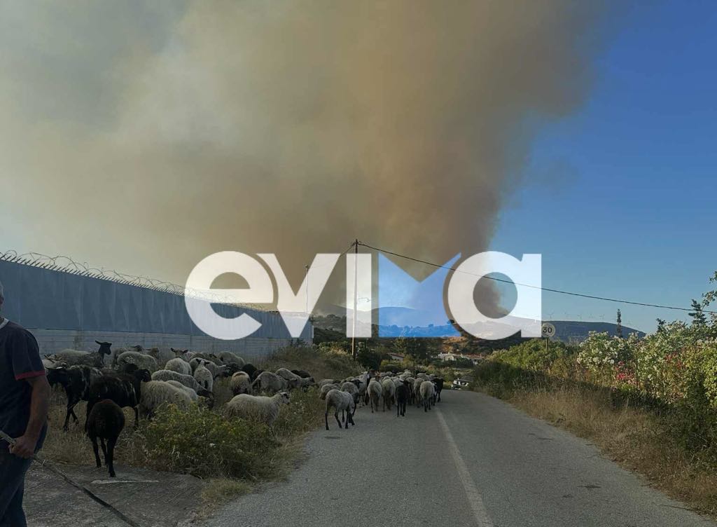 Μεγάλη φωτιά στην Εύβοια: Οι κάτοικοι έλαβαν μήνυμα από το 112 Μεγάλη φωτιά στην Εύβοια: Οι κάτοικοι έλαβαν μήνυμα από το 112