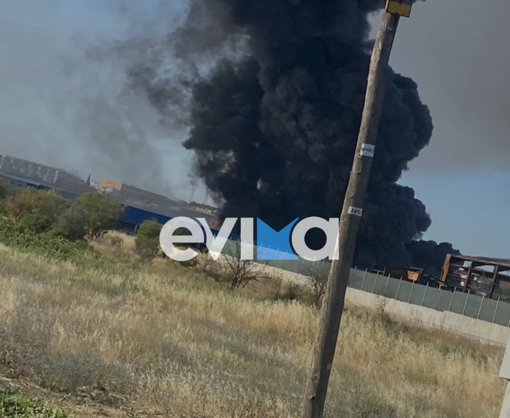Εύβοια: Μεγάλη φωτιά σε εργοστάσιο στη Ριτσώνα (εικόνες) Εύβοια: Μεγάλη φωτιά σε εργοστάσιο στη Ριτσώνα (εικόνες)