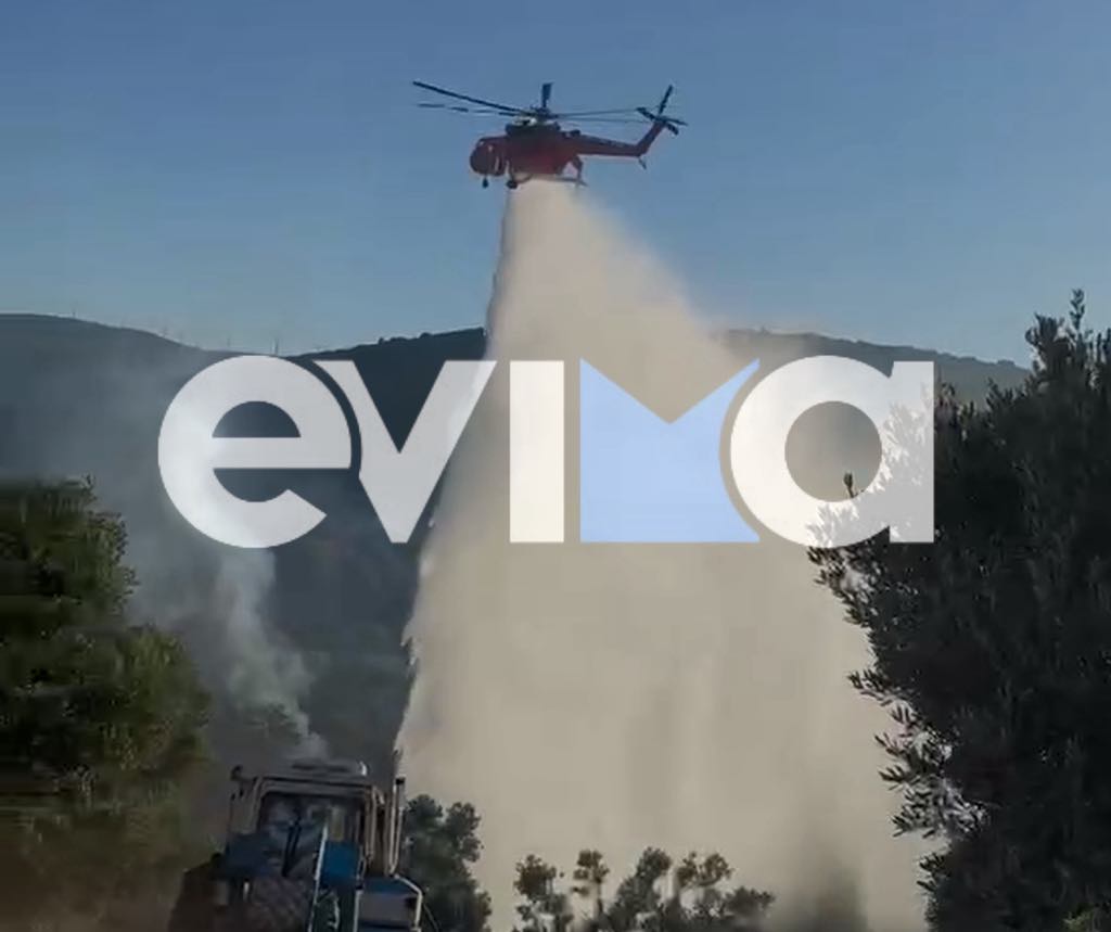 «Τέλος» η φωτιά στην Εύβοια: Παραμένουν στο σημείο ισχυρές πυροσβεστικές δυνάμεις «Τέλος» η φωτιά στην Εύβοια: Παραμένουν στο σημείο ισχυρές πυροσβεστικές δυνάμεις