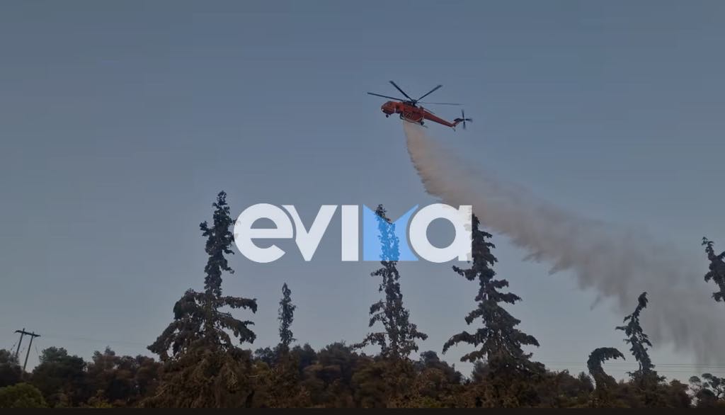 Φωτιά στην Εύβοια: Ρίψεις νερού στον ΧΥΤΑ Χαλκίδας μέχρι το σούρουπο Φωτιά στην Εύβοια: Ρίψεις νερού στον ΧΥΤΑ Χαλκίδας μέχρι το σούρουπο