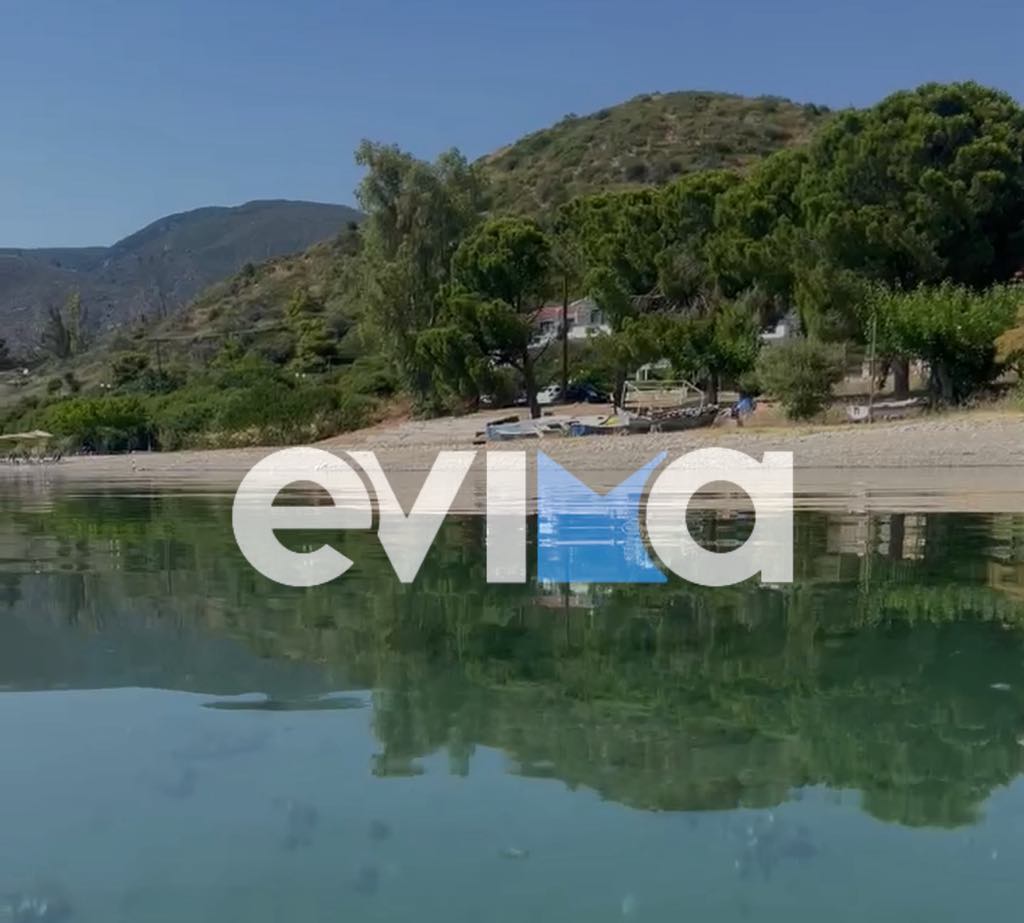 Σε αυτές τις θάλασσες της Εύβοιας δεν θα βρείτε μωβ μέδουσες – Βίντεο Σε αυτές τις θάλασσες της Εύβοιας δεν θα βρείτε μωβ μέδουσες – Βίντεο