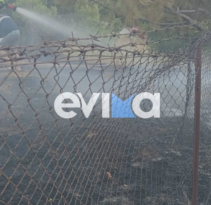 Υπό έλεγχο η φωτιά στην Εύβοια – Τι έκαψε Υπό έλεγχο η φωτιά στην Εύβοια – Τι έκαψε