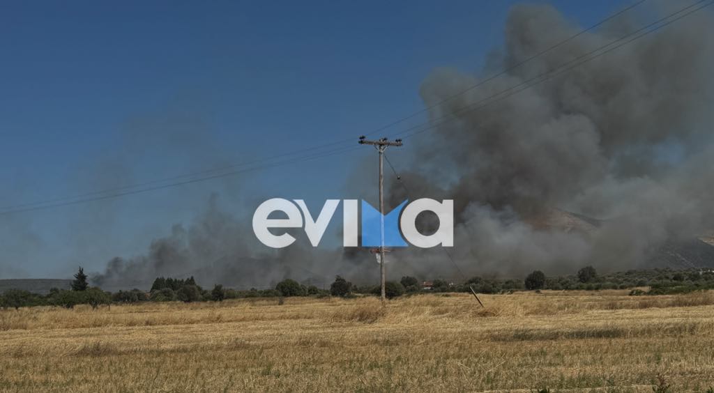 Ελεύθερος ο 60χρονος που έβαλε την φωτιά στο Αλιβέρι Ελεύθερος ο 60χρονος που έβαλε την φωτιά στο Αλιβέρι