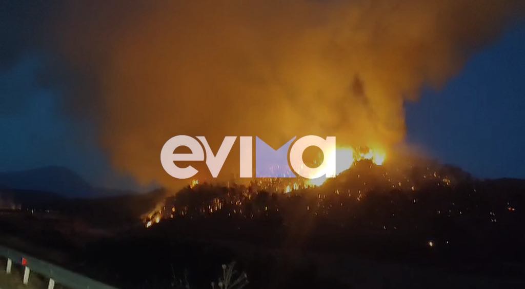 Δύσκολη νύχτα στην Εύβοια: Η φωτιά καίει τα πάντα – Νέα βίντεο Δύσκολη νύχτα στην Εύβοια: Η φωτιά καίει τα πάντα – Νέα βίντεο