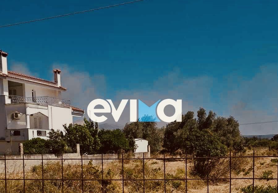 Νέα φωτιά τώρα στην Εύβοια: Κοντά στα σπίτια οι φλόγες Νέα φωτιά τώρα στην Εύβοια: Κοντά στα σπίτια οι φλόγες