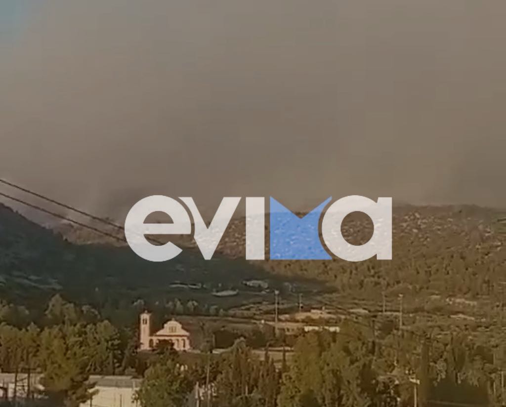 Πύρινη κόλαση στην Εύβοια: Η φωτιά πέρασε στο δάσος του Αφρατίου Πύρινη κόλαση στην Εύβοια: Η φωτιά πέρασε στο δάσος του Αφρατίου