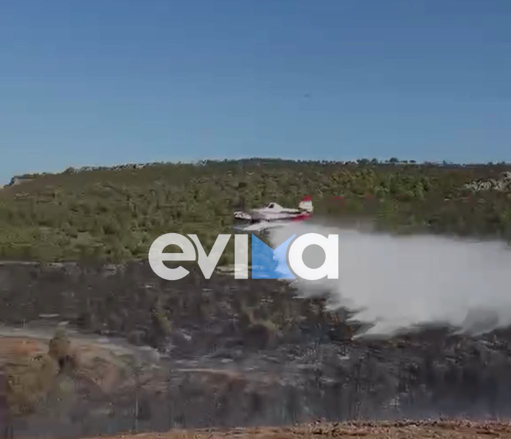 Φωτιά στην Εύβοια: «Μάχη να μην επεκταθεί η καταστροφή» – Νέες εικόνες Φωτιά στην Εύβοια: «Μάχη να μην επεκταθεί η καταστροφή» – Νέες εικόνες