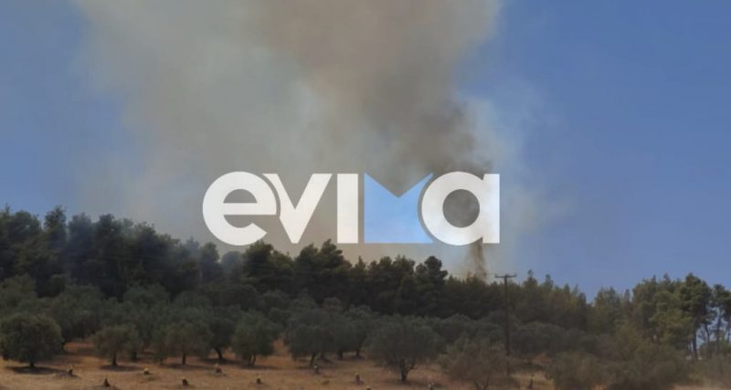 Συνελήφθη Eλληνας την ώρα μεγάλης φωτιάς στην Εύβοια – Τι συνέβη Συνελήφθη Eλληνας την ώρα μεγάλης φωτιάς στην Εύβοια – Τι συνέβη