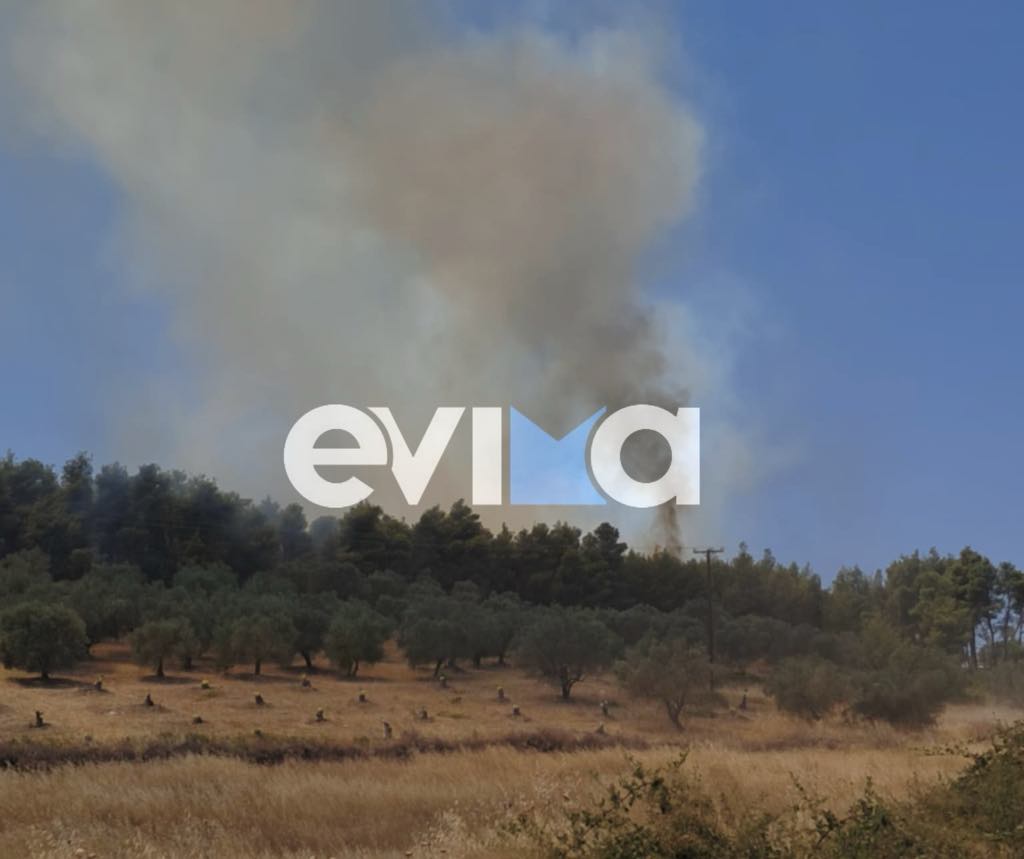 Εύβοια τώρα μια ανάσα από τον Πισσώνα η μεγάλη φωτιά Εύβοια τώρα μια ανάσα από τον Πισσώνα η μεγάλη φωτιά