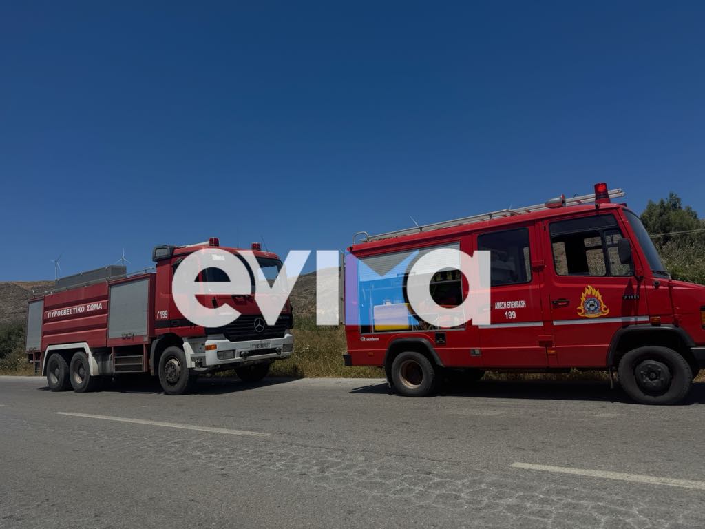 Σοκαριστικό τροχαίο στην Εύβοια: Εγκλωβίστηκε γυναίκα με παιδί – Βίντεο
