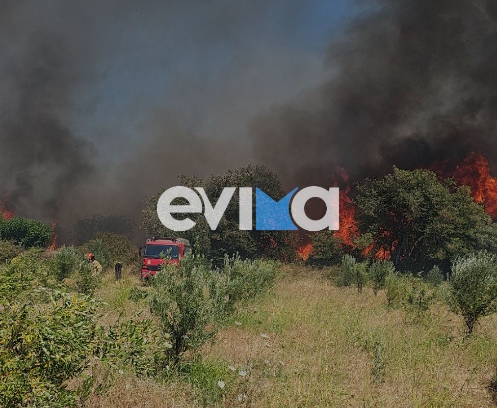 Αποκλειστικό: Συνελήφθη άνδρας για τη μεγάλη φωτιά στο Αλιβέρι Αποκλειστικό: Συνελήφθη άνδρας για τη μεγάλη φωτιά στο Αλιβέρι