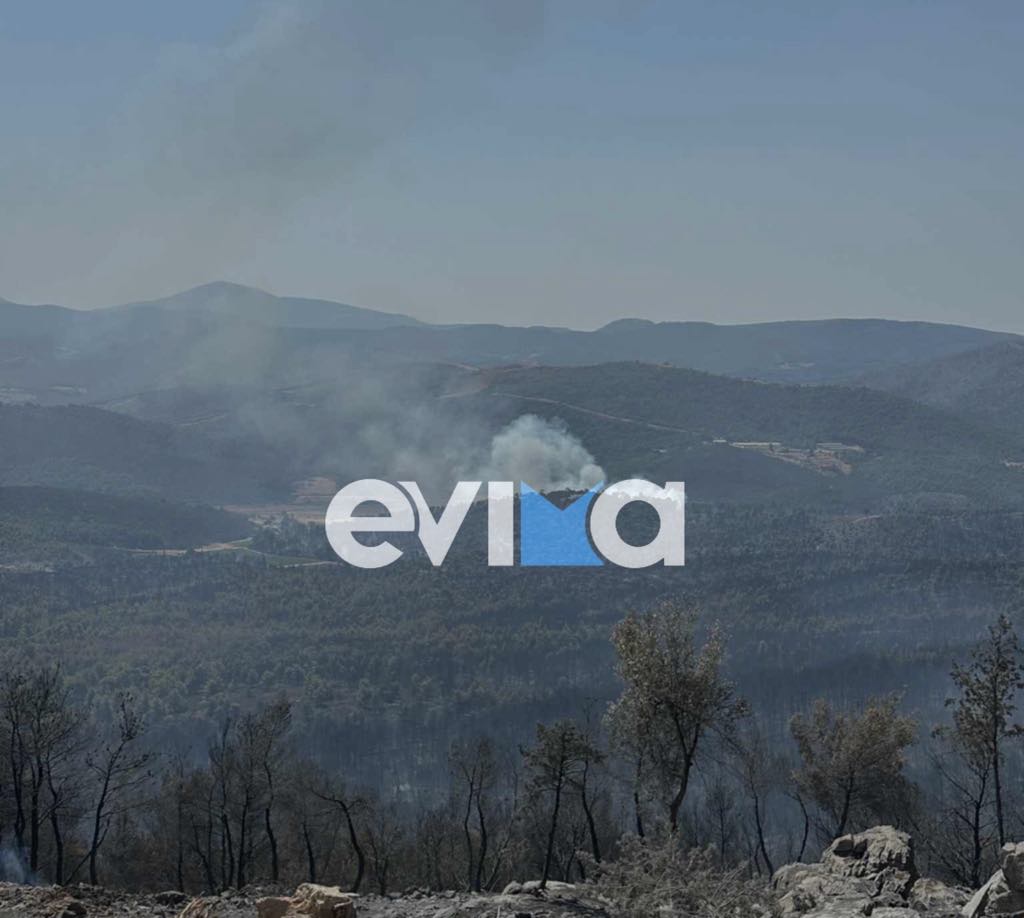 Μεγάλη αναζωπύρωση τώρα στη φωτιά της Εύβοιας Μεγάλη αναζωπύρωση τώρα στη φωτιά της Εύβοιας