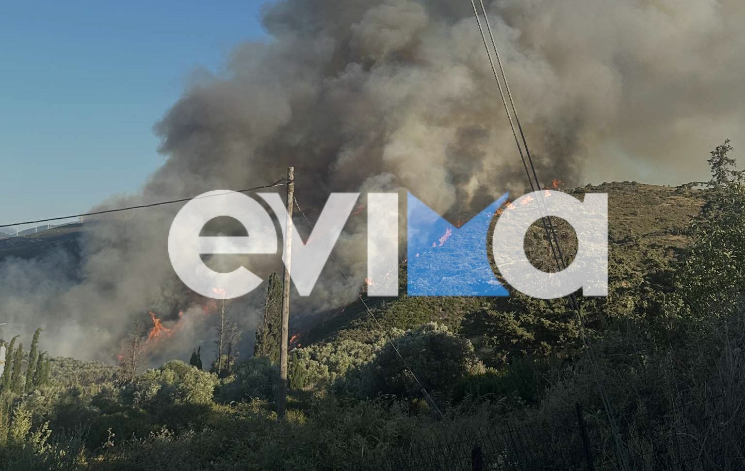 Τόσα θα πληρώσει ο 52χρονος που έβαλε την φωτιά στην Εύβοια Τόσα θα πληρώσει ο 52χρονος που έβαλε την φωτιά στην Εύβοια