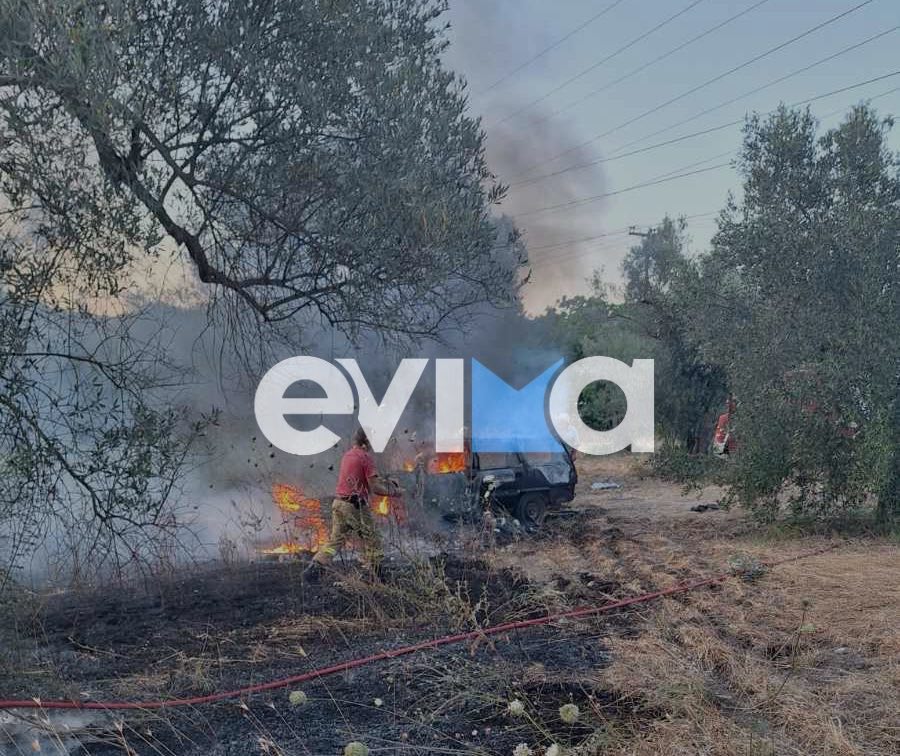 Νέα φωτιά τώρα στην Εύβοια Νέα φωτιά τώρα στην Εύβοια
