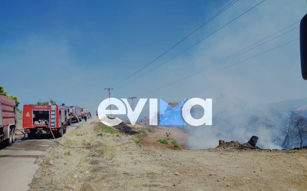 Αναζωπύρωση τώρα της φωτιάς στην Εύβοια Αναζωπύρωση τώρα της φωτιάς στην Εύβοια