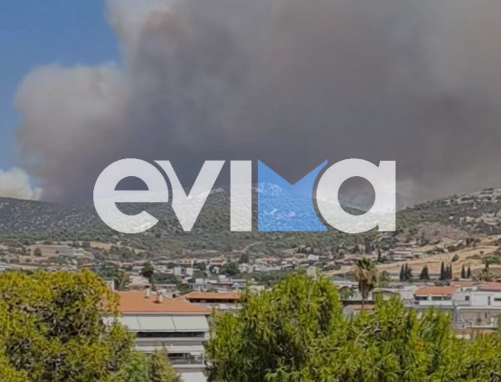 Sos στην Ευβοια: Αυτές οι επιχειρήσεις κινδυνεύουν από την φωτιά