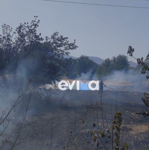 Νέες εικόνες από την φωτιά στην Εύβοια