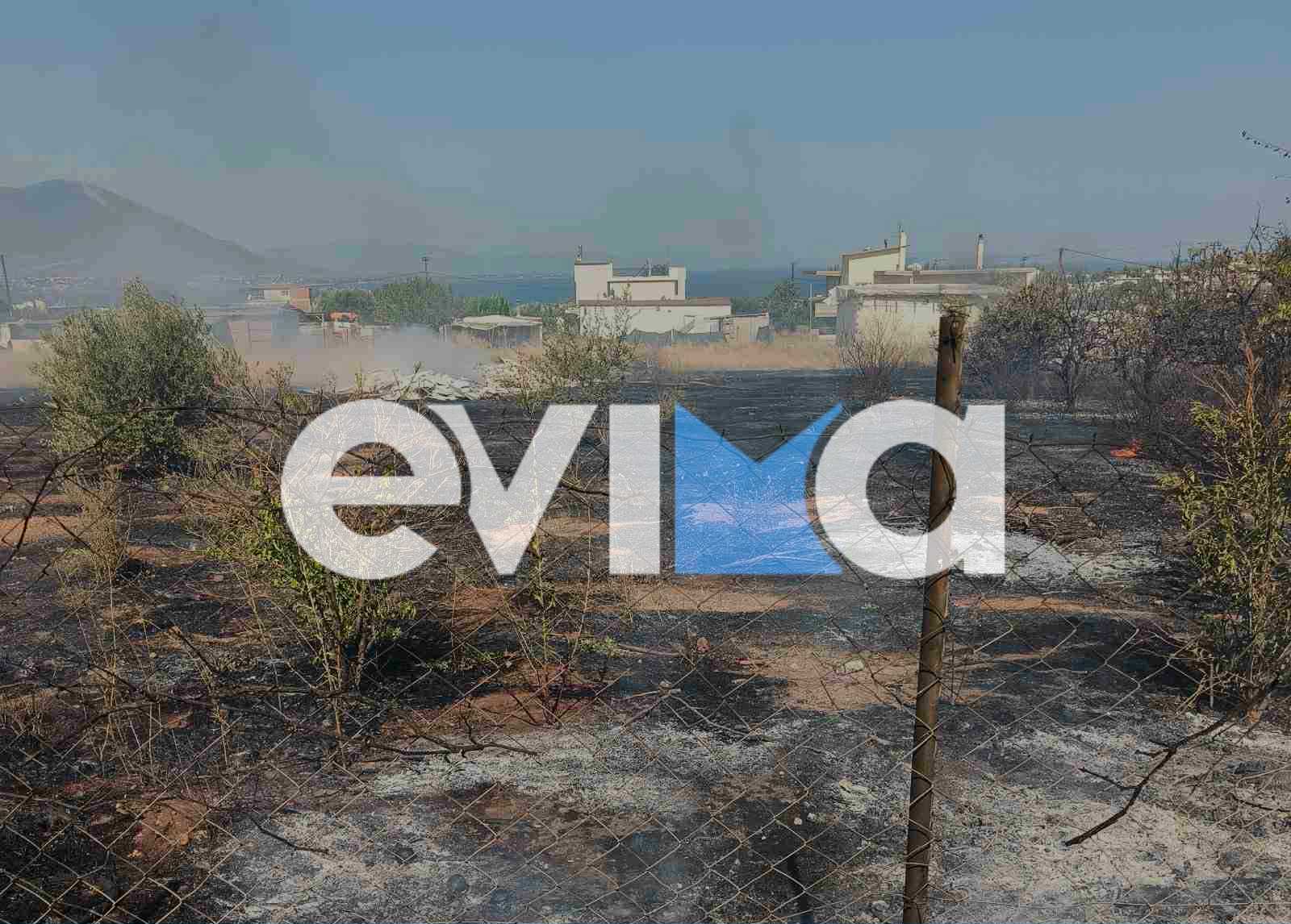 Φωτιά κοντά σε σπίτια στη Χαραυγή Ευβοίας – Τέθηκε υπό έλεγχο (pics&vid) Φωτιά κοντά σε σπίτια στη Χαραυγή Ευβοίας – Τέθηκε υπό έλεγχο (pics&vid)