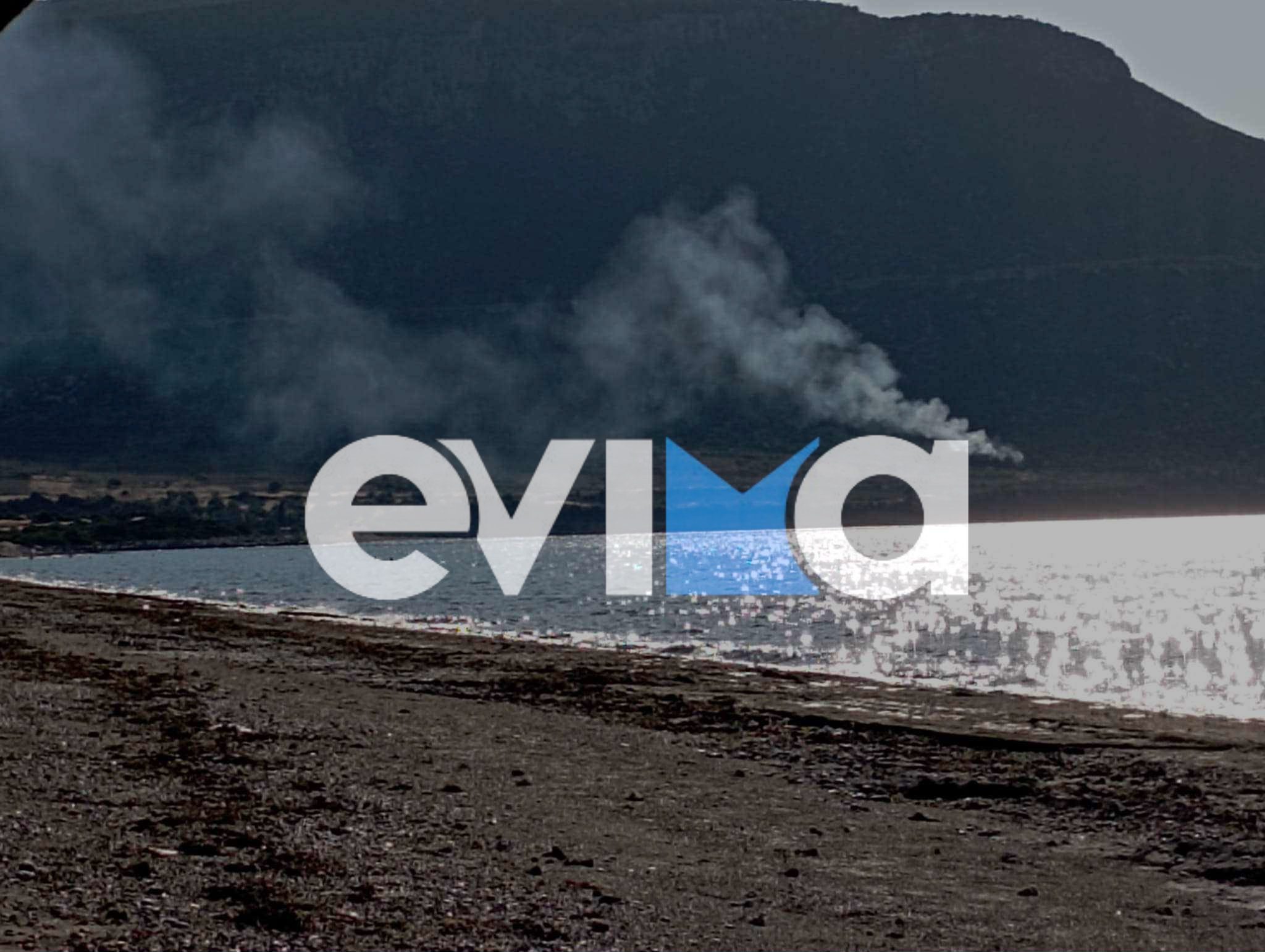 Νέα φωτιά τώρα στην Εύβοια: Συναγερμός στην Πυροσβεστική