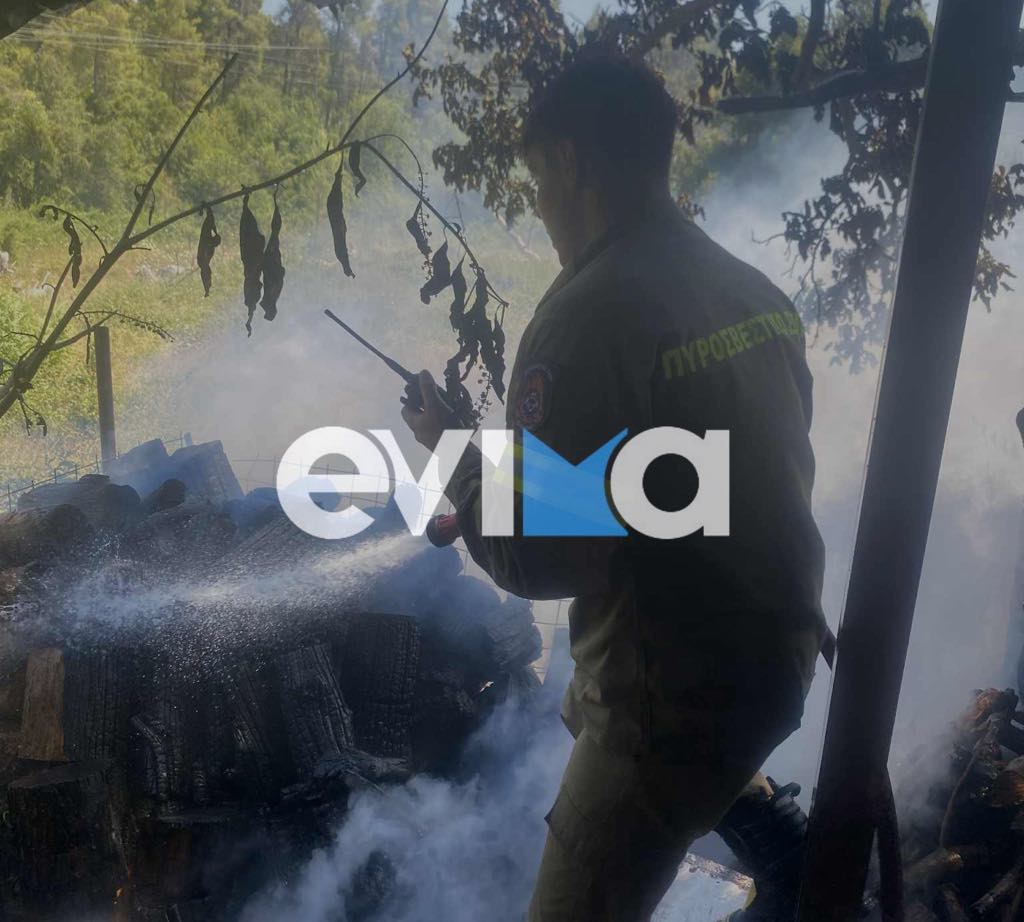 Υπό έλεγχο η φωτιά στην Εύβοια – Κάηκε ολοσχερώς καλύβα – Νέες εικόνες Υπό έλεγχο η φωτιά στην Εύβοια – Κάηκε ολοσχερώς καλύβα – Νέες εικόνες