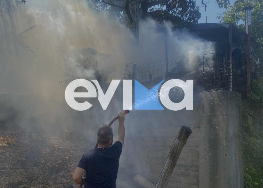 Φωτιά τώρα στην Εύβοια: Οι πρώτες εικόνες Φωτιά τώρα στην Εύβοια: Οι πρώτες εικόνες