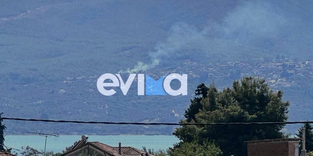 Τέταρτη φωτιά στην Εύβοια σήμερα – Ξέσπασε κοντά σε γήπεδο Τέταρτη φωτιά στην Εύβοια σήμερα – Ξέσπασε κοντά σε γήπεδο