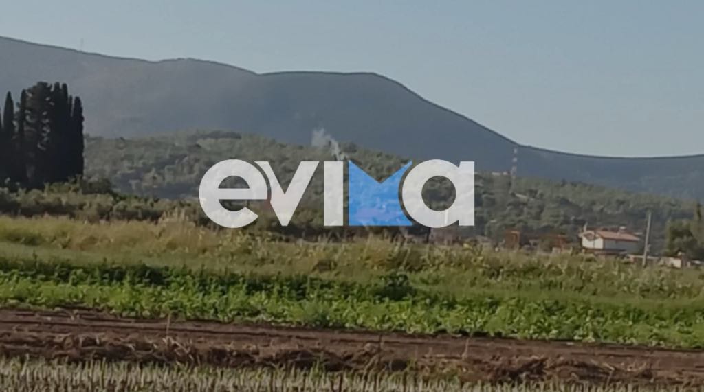 Φωτιά τώρα στην Εύβοια – Νέα αναζωπύρωση Φωτιά τώρα στην Εύβοια – Νέα αναζωπύρωση