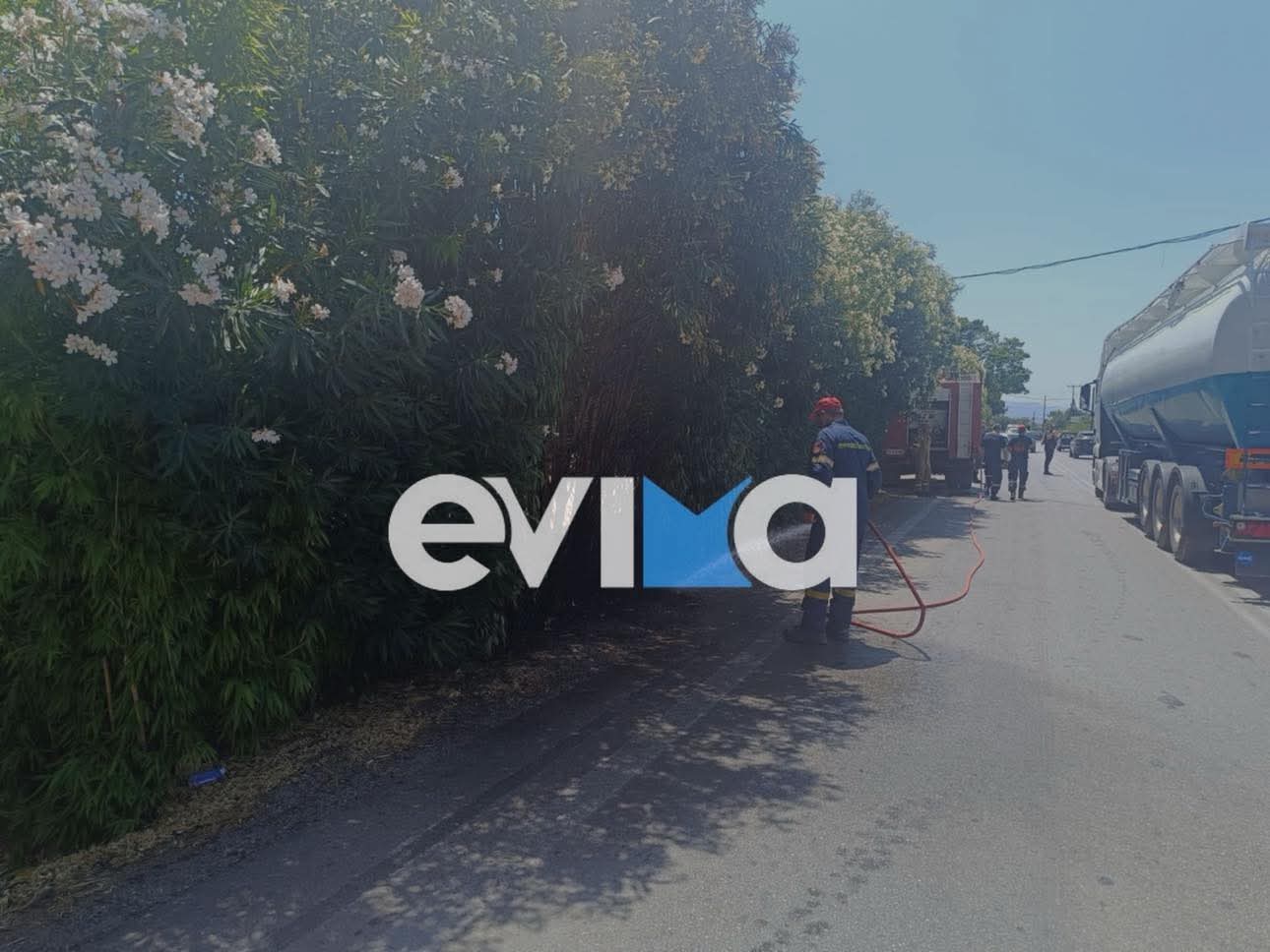 Φωτιά κοντά σε κάμπινγκ στην Ερέτρια Ευβοίας