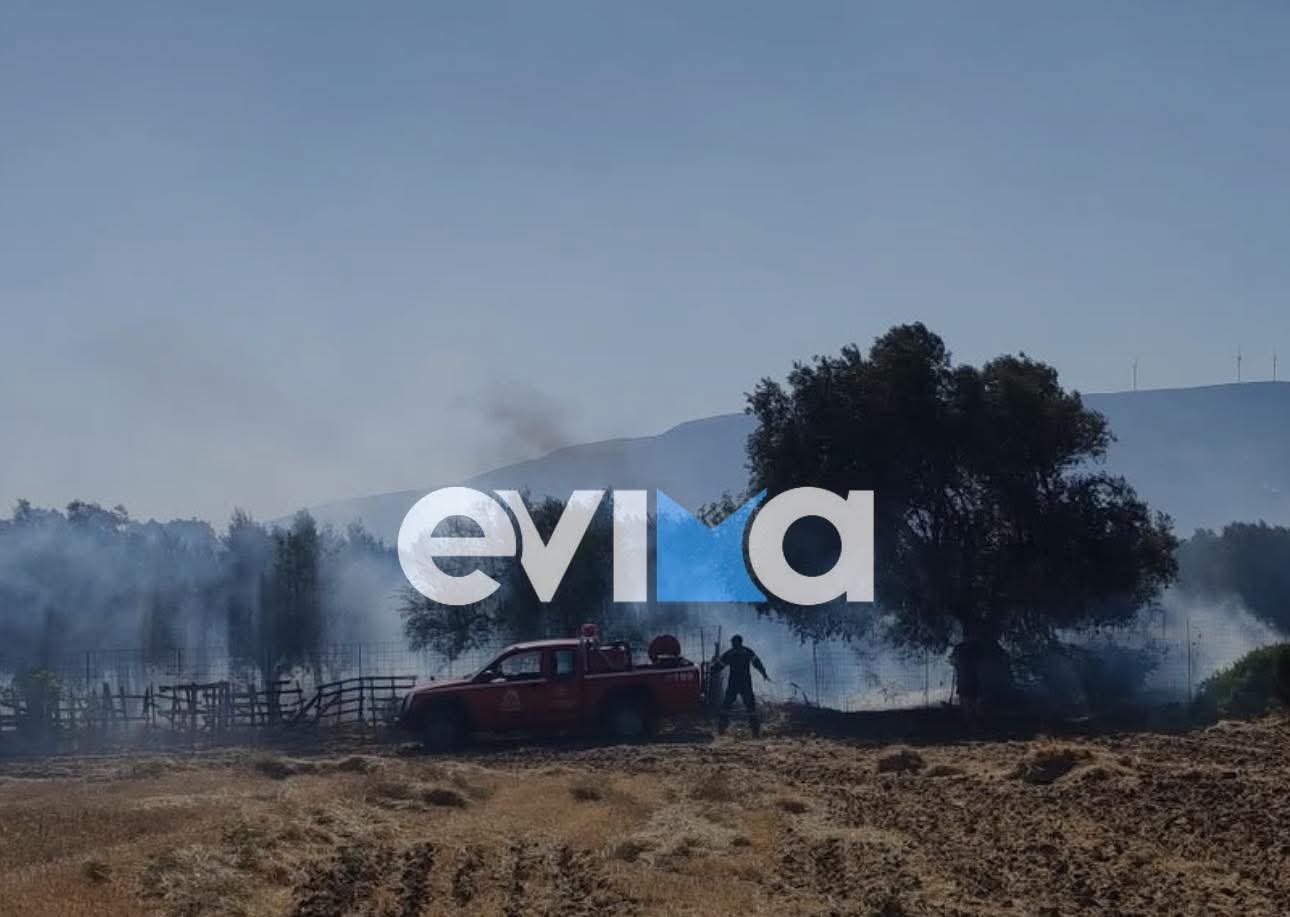 Σε ύφεση η φωτιά στο Αλιβέρι: Πως ξεκίνησε η πυρκαγιά – Συνελήφθη ένας 60χρονος Σε ύφεση η φωτιά στο Αλιβέρι: Πως ξεκίνησε η πυρκαγιά – Συνελήφθη ένας 60χρονος