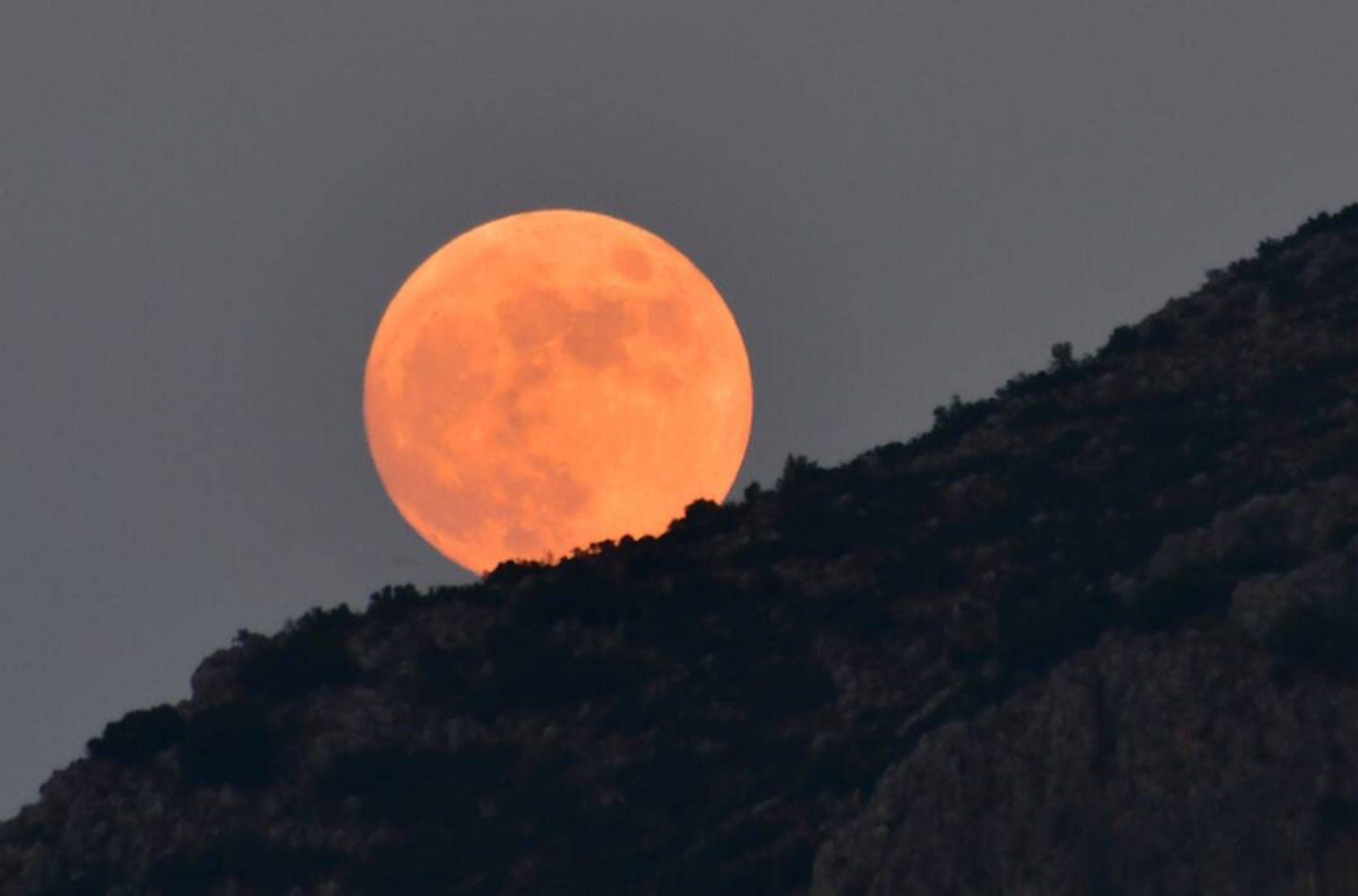 Πανσέληνος Ιουλίου 2025: Πότε θα δούμε το «Φεγγάρι του Κόκκινου Ελαφιού» Πανσέληνος Ιουλίου 2025: Πότε θα δούμε το «Φεγγάρι του Κόκκινου Ελαφιού»