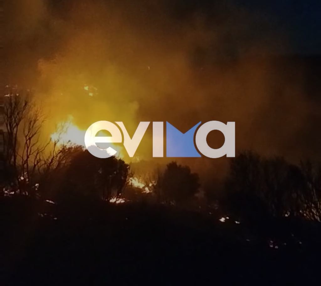 Ολονύκτια μάχη με τις φλόγες στην Εύβοια: Νέες εικόνες από το πύρινο μέτωπο Ολονύκτια μάχη με τις φλόγες στην Εύβοια: Νέες εικόνες από το πύρινο μέτωπο