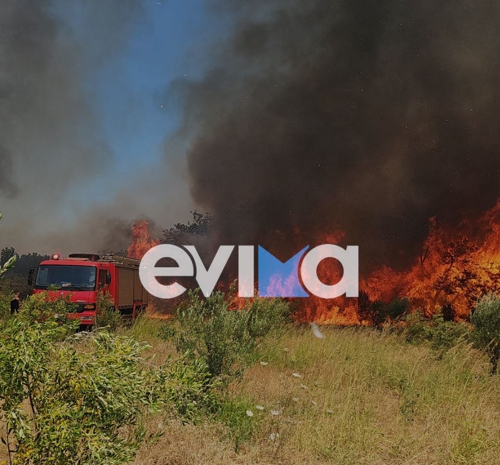 Μεγάλη φωτιά στην Εύβοια: Οι πρώτες εικόνες και βίντεο Μεγάλη φωτιά στην Εύβοια: Οι πρώτες εικόνες και βίντεο