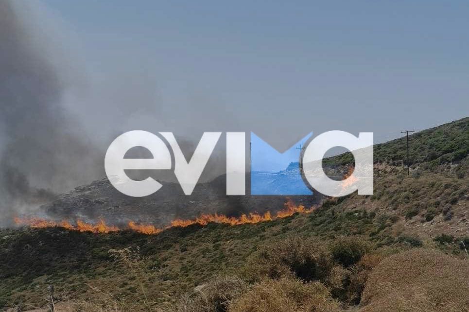 Πολύ υψηλός κίνδυνος για φωτιά αύριο στην Εύβοια – Οι περιοχές με «πορτοκαλί» Πολύ υψηλός κίνδυνος για φωτιά αύριο στην Εύβοια – Οι περιοχές με «πορτοκαλί»