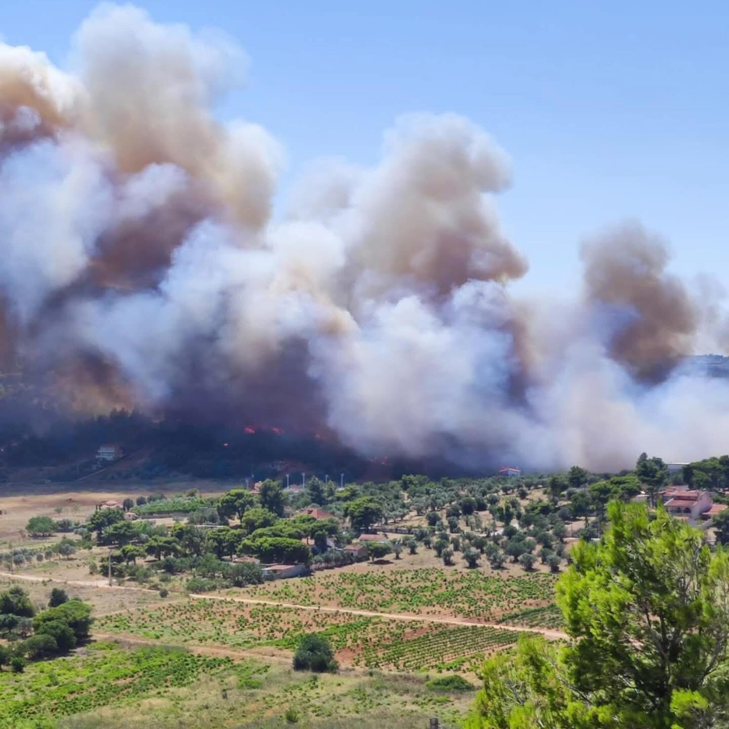 Μεγάλη φωτιά στη Ραφήνα: Ανεξέλεκτες οι φλόγες, μηνύματα 112, εκκενώσεις τριων οικισμών