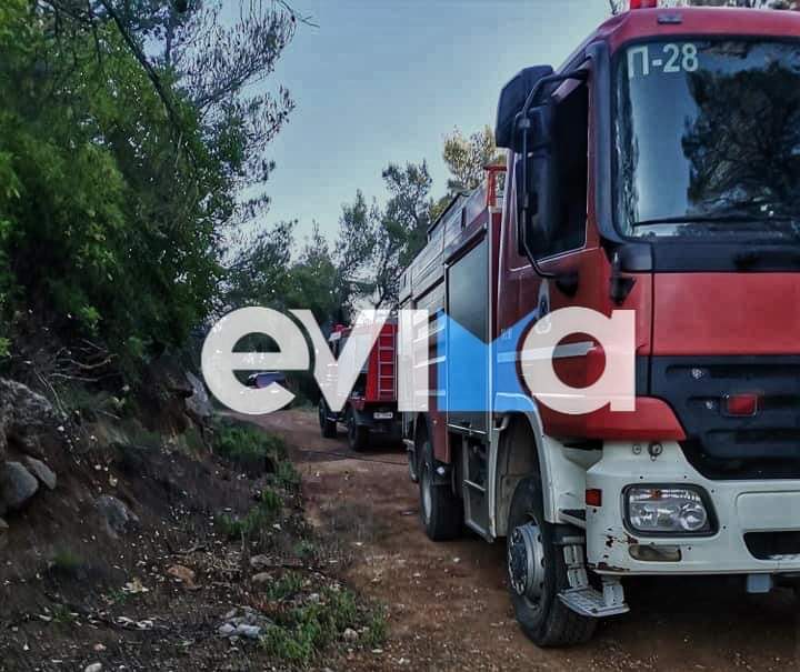 Νέος συναγερμός για φωτιά στην Εύβοια Νέος συναγερμός για φωτιά στην Εύβοια